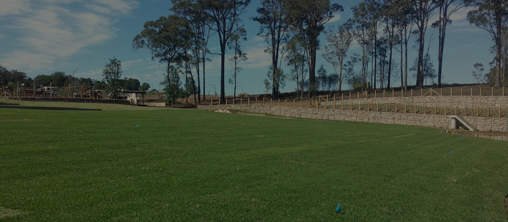 Matilda Soft Leaf Buffalo Turf