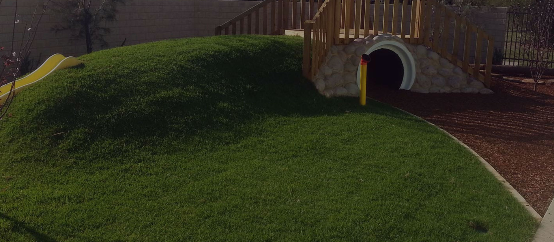 Greenlees Park turf