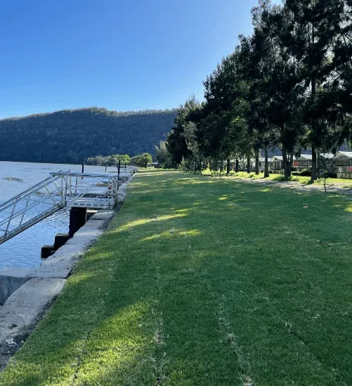 Completed Arrow Turf lawn in Sydney