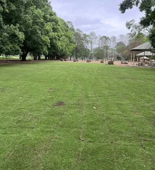 Completed Arrow Turf lawn in Sydney