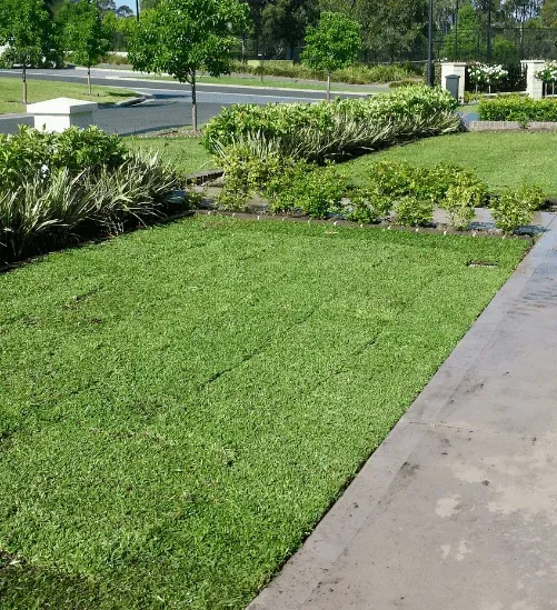 Completed Arrow Turf lawn in Sydney