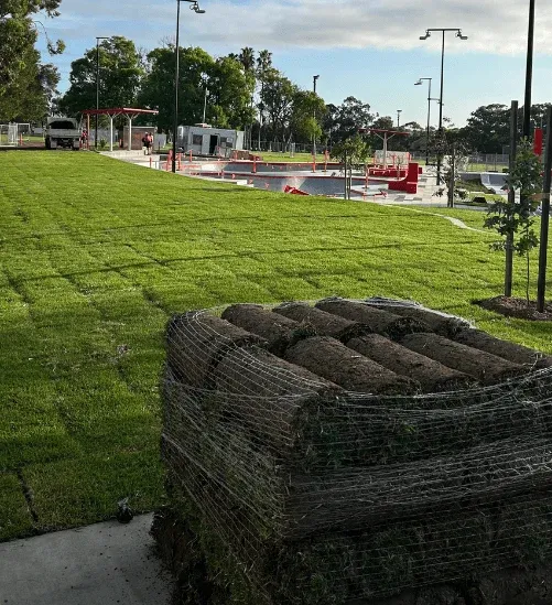 Completed Arrow Turf lawn in Sydney