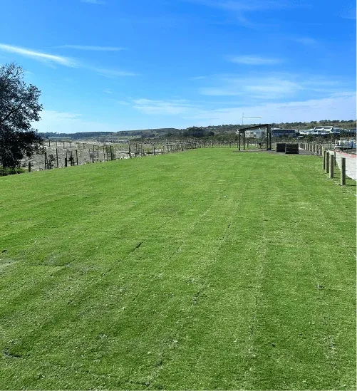 Completed Arrow Turf lawn in Sydney