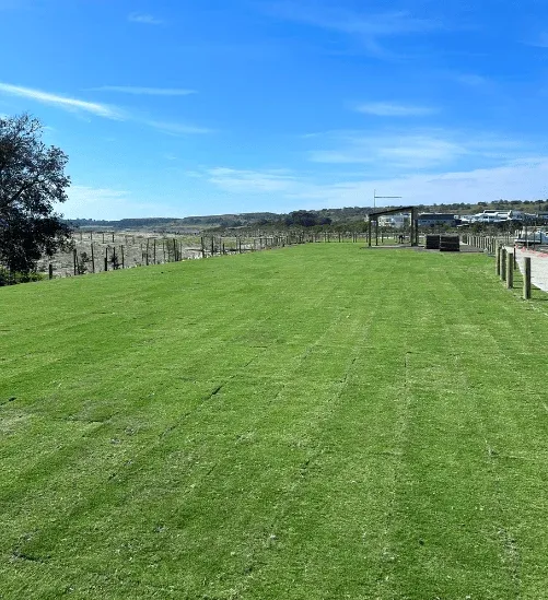Greenlees Park Couch turf