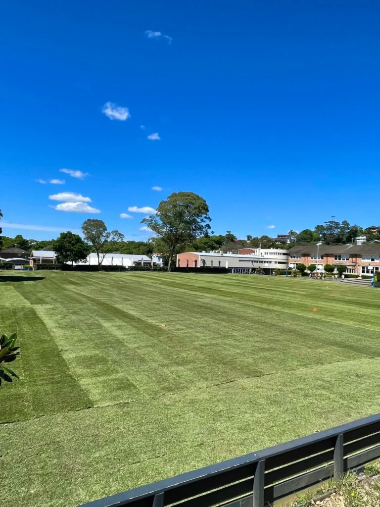 Farm-cut turf ready for delivery across Sydney