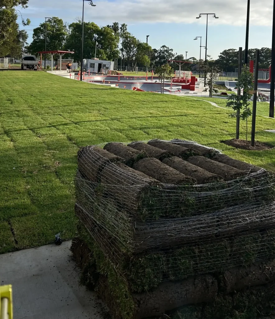 Freshly harvested turf
